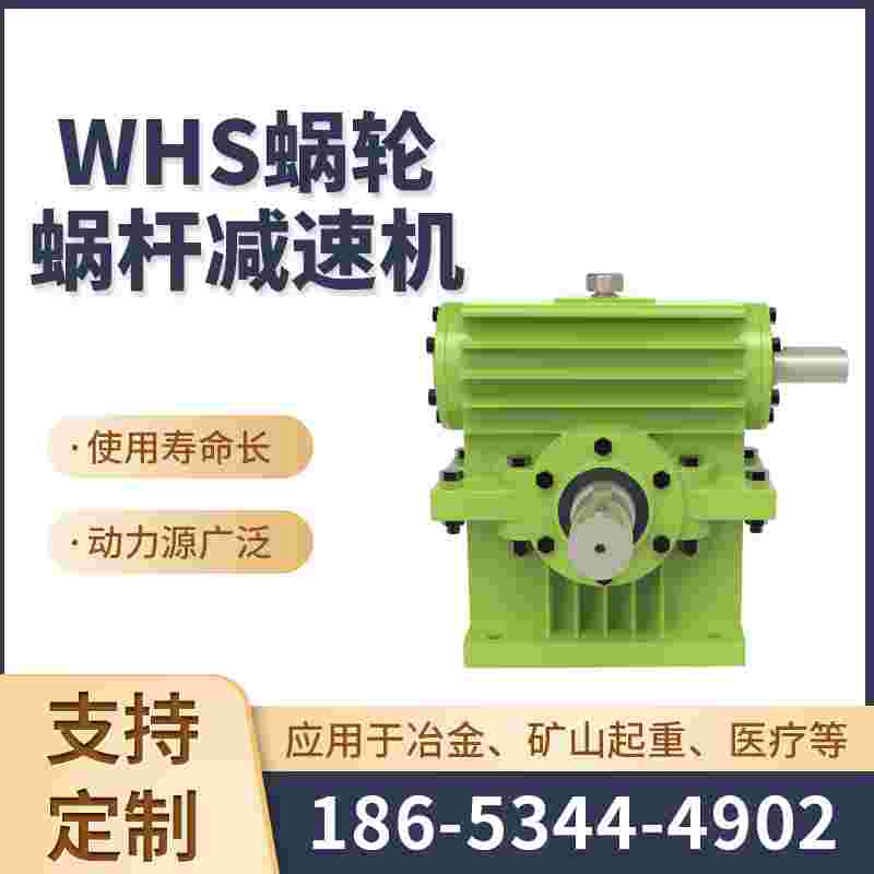 WHS涡轮减速机